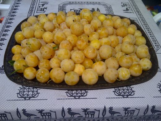 Sarı Erik Hoşafı Tarifi ve Malzemeleri